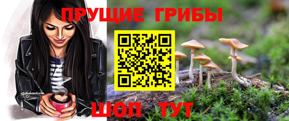 Псилоцибиновые грибы мухоморы  Псилоцибиновые грибы GOLDEN TEACHER  Вход с VPN  Ижевск 