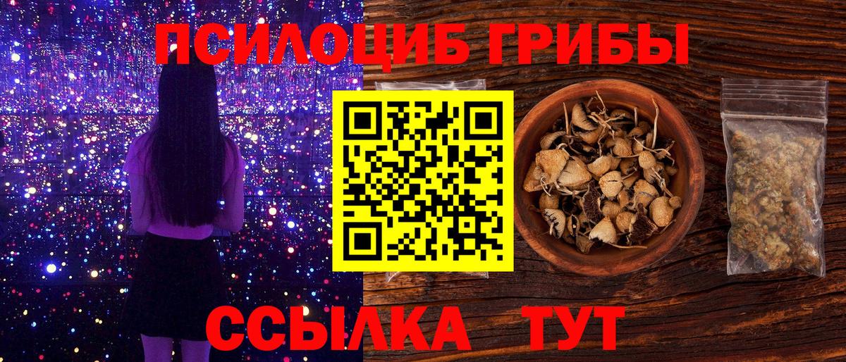 Псилоцибиновые грибы мицелий Ижевск