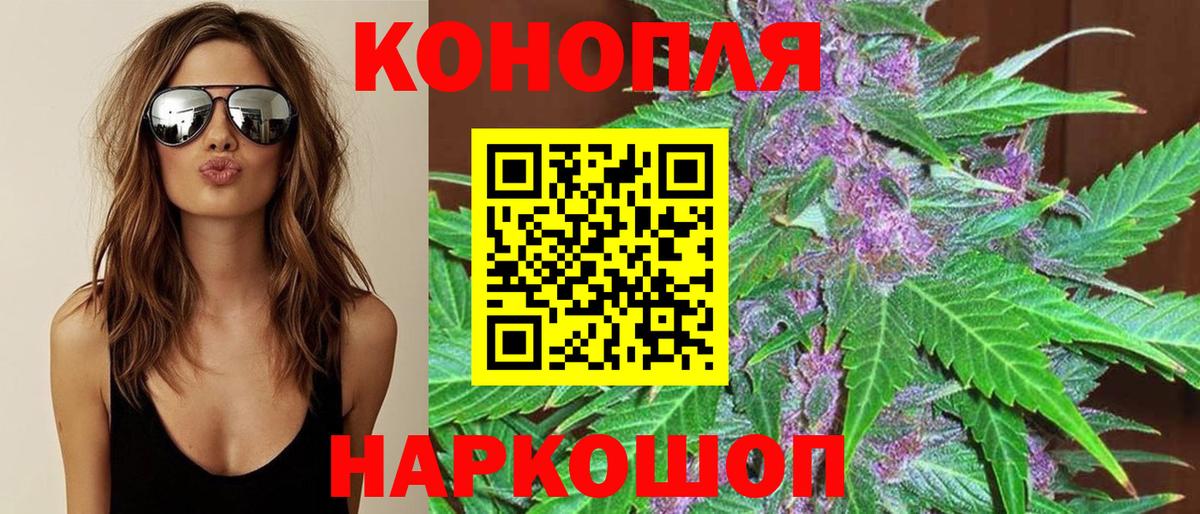 Канабис план  Каннабис сатива  МАРИХУАНА семена  Ижевск  Вход с VPN 